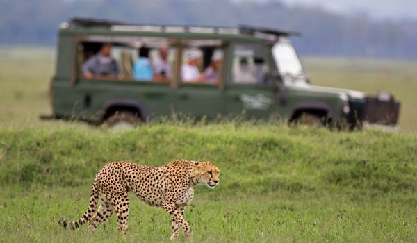 Jhalana leopard safari